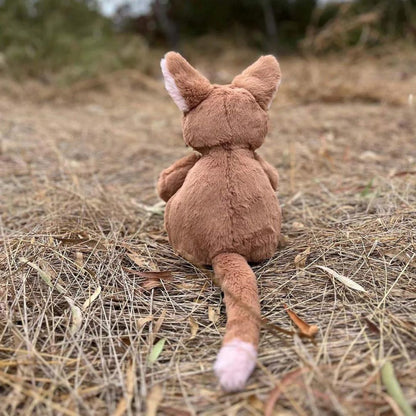 Kangaroo soft teddy