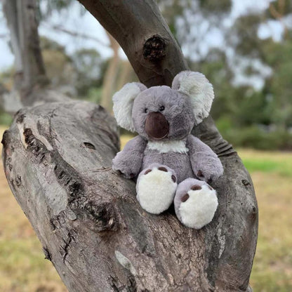 Koala soft teddy