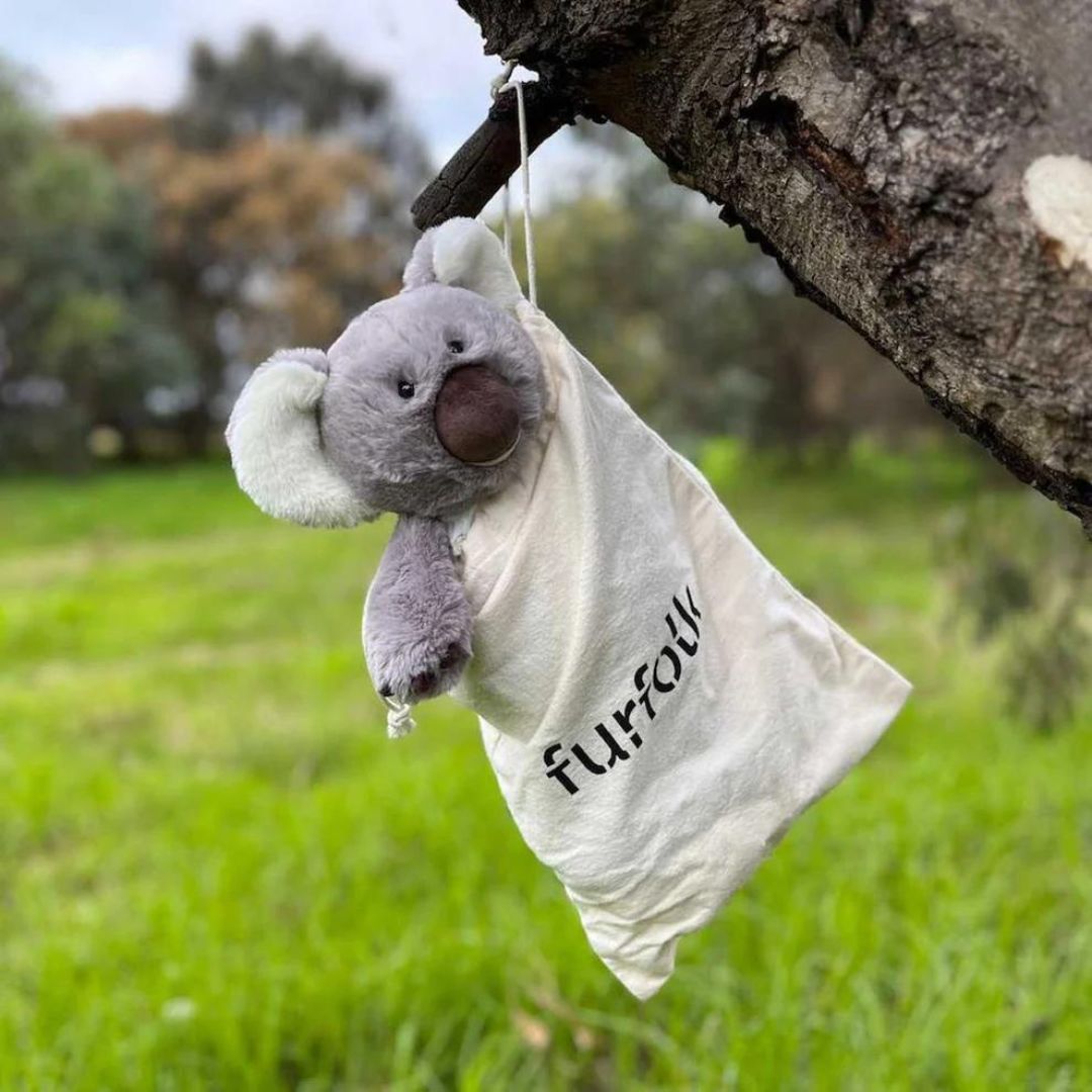 Koala soft teddy